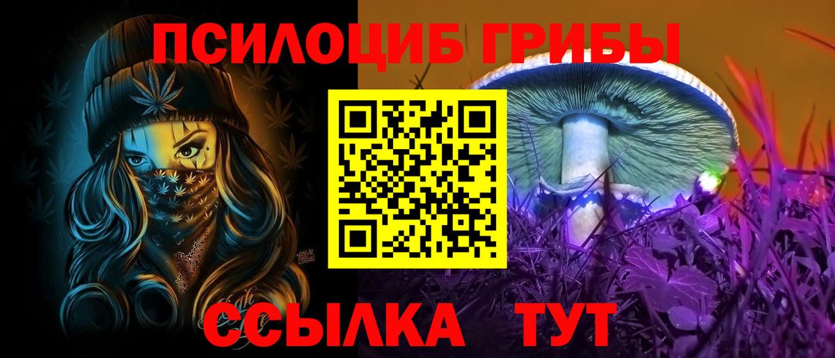 Псилоцибиновые грибы прущие грибы Вологда